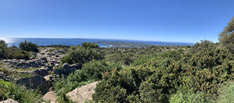 Collobrières